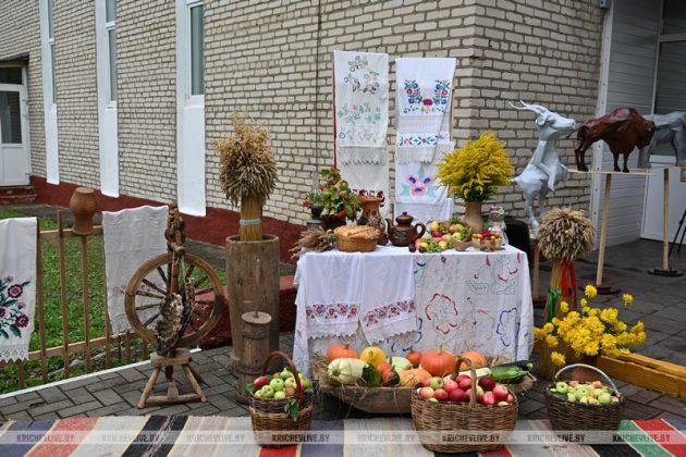В агрогородке Ботвиновка прошел День сельского Совета