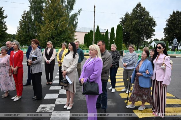 В агрогородке Ботвиновка прошел День сельского Совета