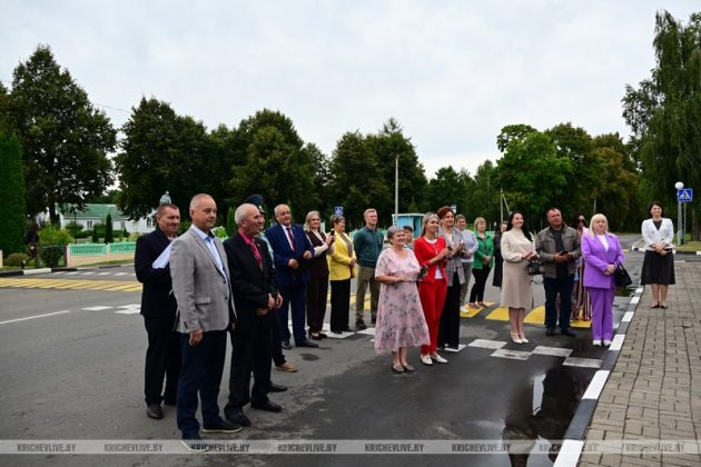 В агрогородке Ботвиновка прошел День сельского Совета