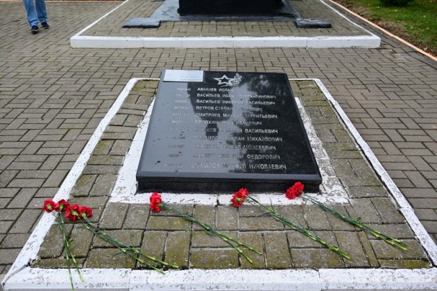 В агрогородке Ботвиновка прошел День сельского Совета