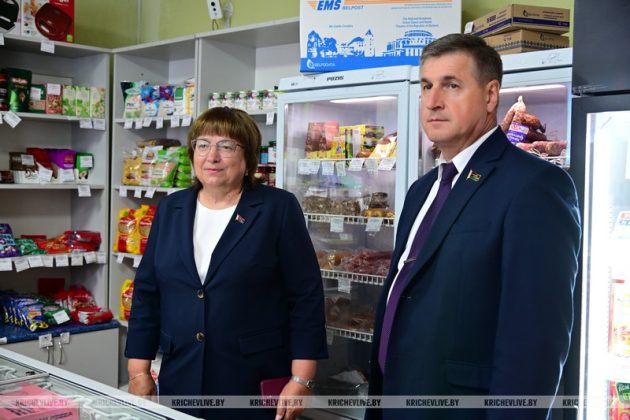 В агрогородке Ботвиновка прошел День сельского Совета