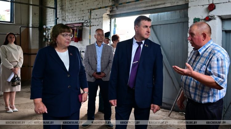 В агрогородке Ботвиновка прошел День сельского Совета