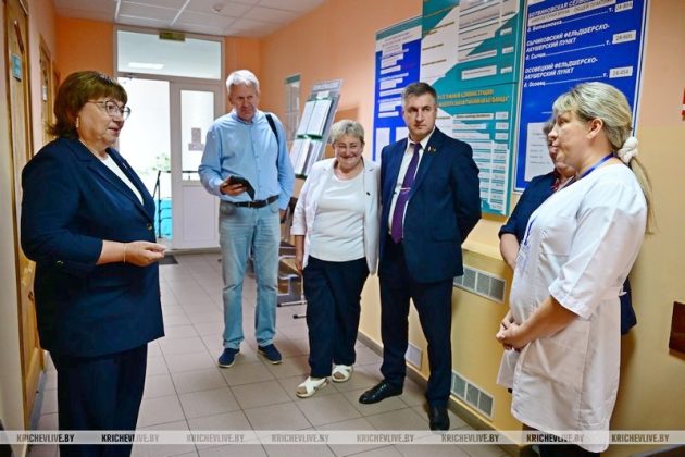 В агрогородке Ботвиновка прошел День сельского Совета