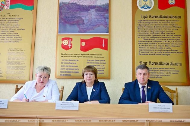 В агрогородке Ботвиновка прошел День сельского Совета