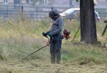 Почему скашивать траву это не только красиво, но и безопасно, разъяснили в Кричевском райЦГЭ Почему скашивать траву это не только красиво, но и безопасно, разъяснили в Кричевском райЦГЭ