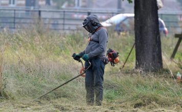 Почему скашивать траву это не только красиво, но и безопасно, разъяснили в Кричевском райЦГЭ Почему скашивать траву это не только красиво, но и безопасно, разъяснили в Кричевском райЦГЭ