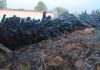 Узнали, сколько древесины сгорело в Бель-1 в результате пожара Узнали, сколько древесины сгорело в Бель-1 в результате пожара