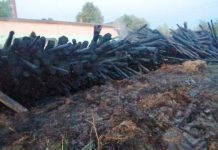 Узнали, сколько древесины сгорело в Бель-1 в результате пожара Узнали, сколько древесины сгорело в Бель-1 в результате пожара