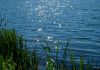 Итоги жарких выходных на Могилевщине Итоги жарких выходных на Могилевщине