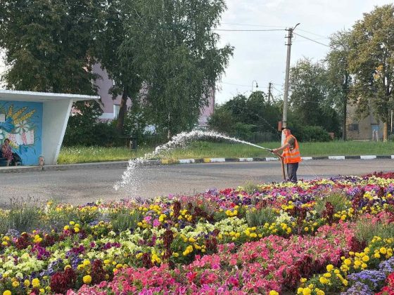 Узнали, как в Кричеве заботятся о городских цветниках