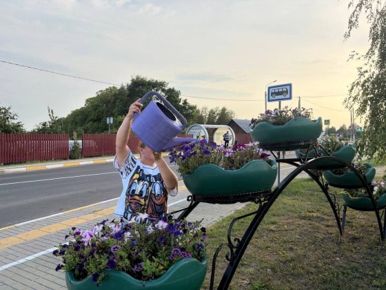 Узнали, как в Кричеве заботятся о городских цветниках