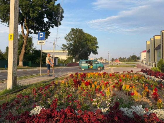 Узнали, как в Кричеве заботятся о городских цветниках