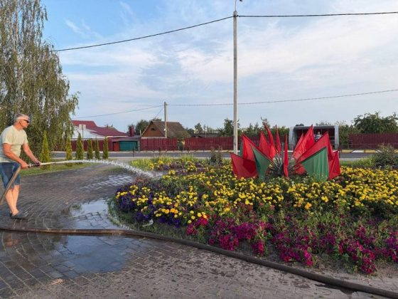 Узнали, как в Кричеве заботятся о городских цветниках