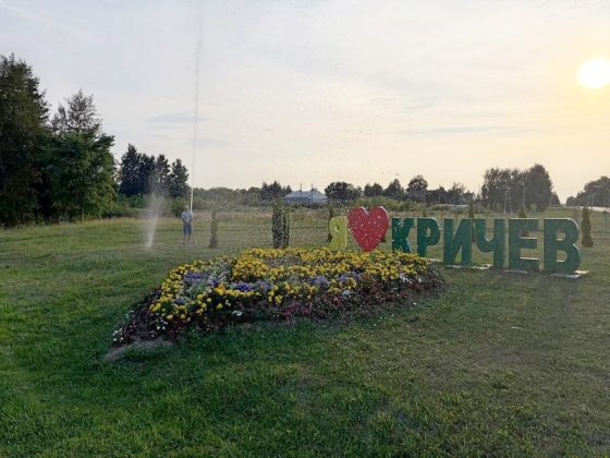 Узнали, как в Кричеве заботятся о городских цветниках