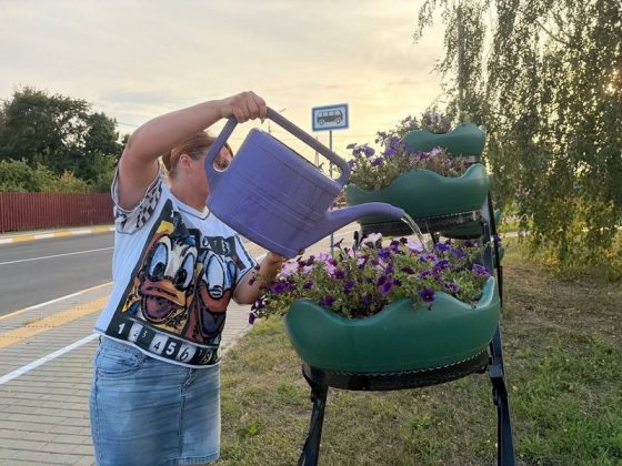 Узнали, как в Кричеве заботятся о городских цветниках