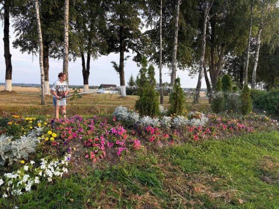 Узнали, как в Кричеве заботятся о городских цветниках