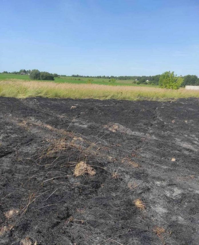 В Кричеве тушили возгорание В Кричеве тушили возгорание
