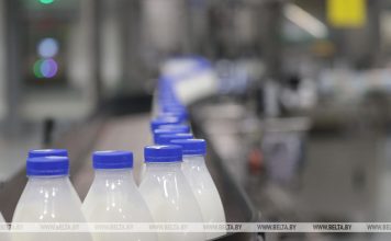 Строительство комплексов, внедрение инноваций. Какие задачи стоят перед отраслью сельского хозяйства Беларуси Кричев | Новости Кричева и Кричевского района