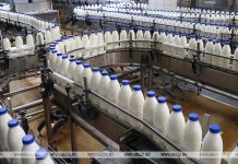 Беларусь готова наращивать поставки мясо-молочной продукции и кондитерских изделий в Камчатский край