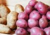Перезимуем? Разбираемся, какой картофель хранится лучше – белый, желтый или красный Перезимуем? Разбираемся, какой картофель хранится лучше – белый, желтый или красный