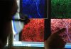 Британские ученые будут выращивать миниатюрные человеческие органы для тестирования лекарств