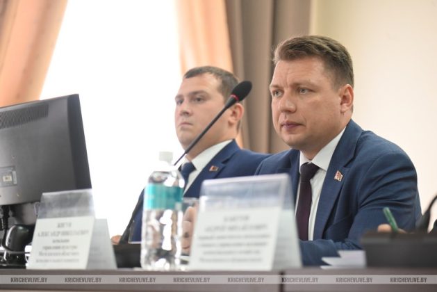 За что начальник управления культуры облисполкома благодарил Кричев