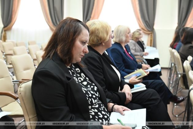 За что начальник управления культуры облисполкома благодарил Кричев