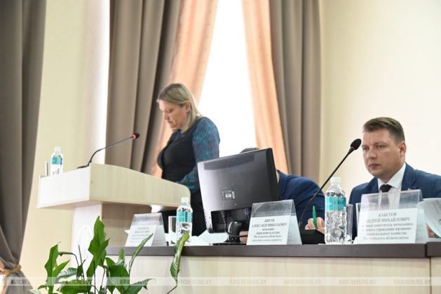 За что начальник управления культуры облисполкома благодарил Кричев