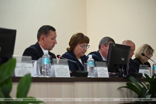 За что начальник управления культуры облисполкома благодарил Кричев