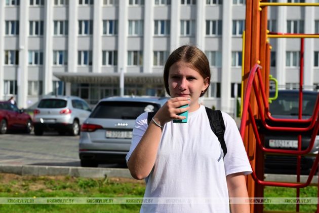 В Кричеве прошел праздник двора «По-соседски»