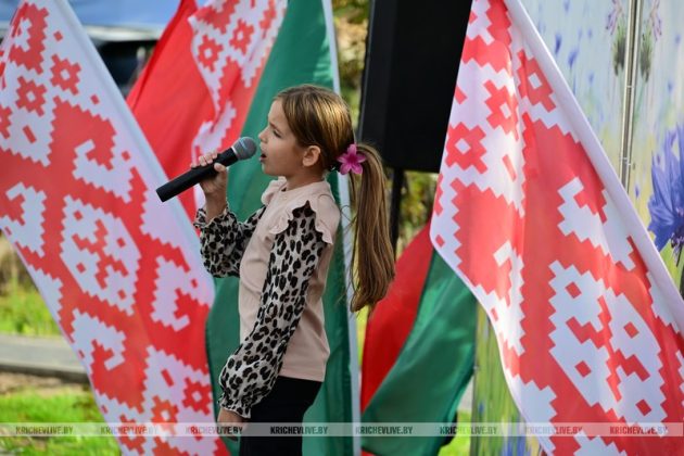 В Кричеве прошел праздник двора «По-соседски»