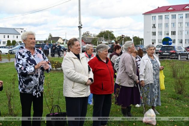В Кричеве прошел праздник двора «По-соседски»