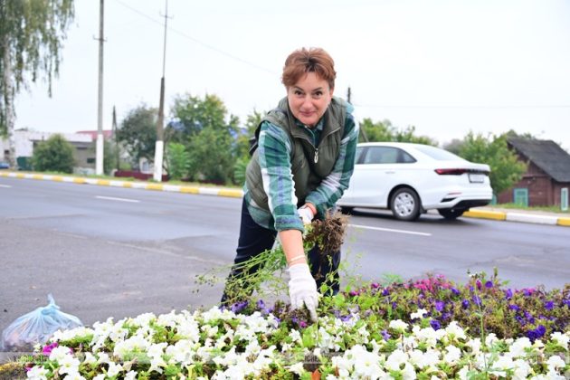 В Кричеве прошел районный субботник