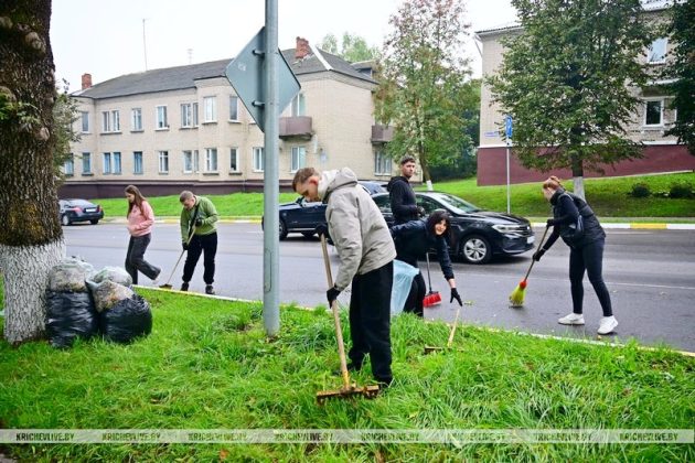 В Кричеве прошел районный субботник