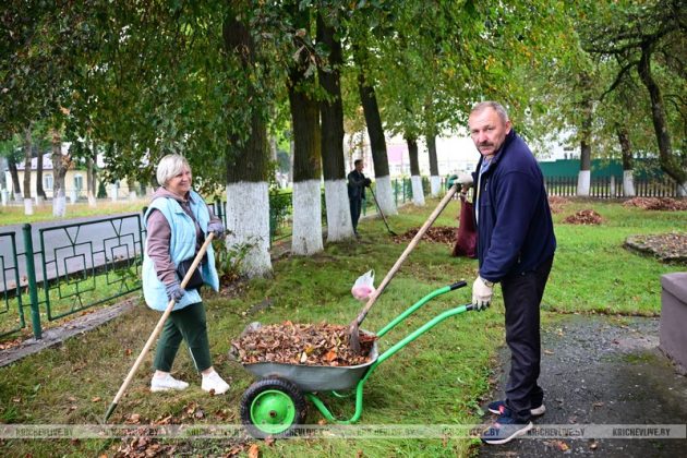 В Кричеве прошел районный субботник