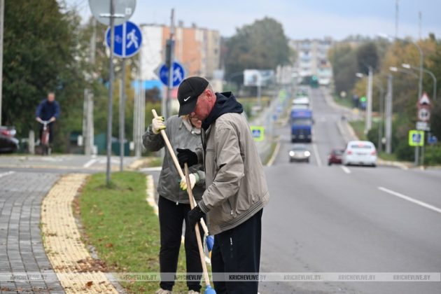 В Кричеве прошел районный субботник