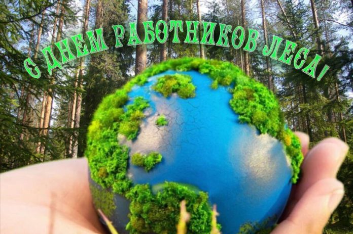 Руководство района: леса являются важнейшим компонентом и ценным источником сырьевых ресурсов Руководство района: леса являются важнейшим компонентом и ценным источником сырьевых ресурсов