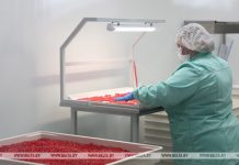 Лукашенко отметил значение отечественных технологий фармпроизводства как гаранта здоровья нации Лукашенко отметил значение отечественных технологий фармпроизводства как гаранта здоровья нации