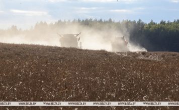 В Беларуси намолотили более 9,9 млн тонн зерна Кричев | Новости Кричева и Кричевского района