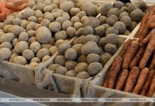 В стабфонд Могилевской области уже заложили более 2,6 тыс. т плодоовощной продукции В стабфонд Могилевской области уже заложили более 2,6 тыс. т плодоовощной продукции