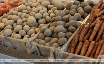 В стабфонд Могилевской области уже заложили более 2,6 тыс. т плодоовощной продукции В стабфонд Могилевской области уже заложили более 2,6 тыс. т плодоовощной продукции