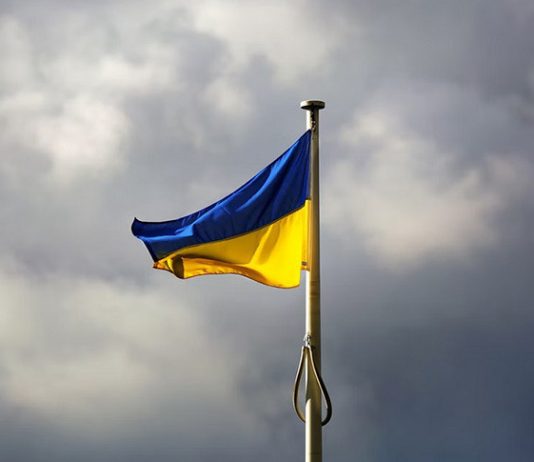 Украина должна выплатить МВФ около $960 млн до конца года в счет погашения кредита