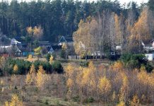 Стало удобнее: кадастровая карта обновилась до версии 3.0