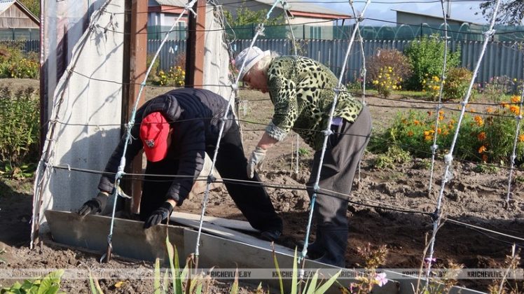 Помощь и безопасность: кричевские спасатели навестили ветерана ОПЧС