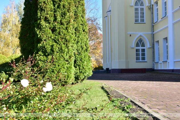 Осенний вернисаж у Дворца Потемкина: фотофакт
