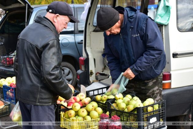 В Кричеве продолжается акция «Добро старшим»
