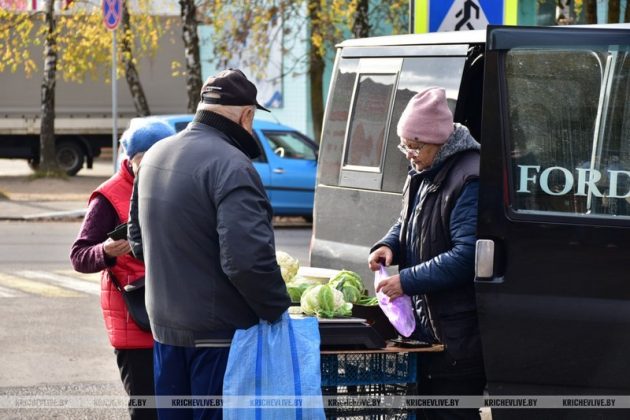 В Кричеве продолжается акция «Добро старшим»