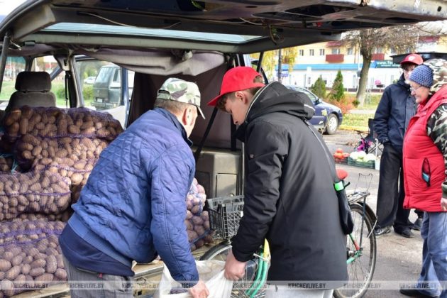 В Кричеве продолжается акция «Добро старшим»
