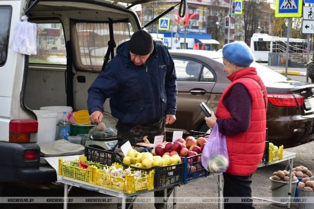В Кричеве продолжается акция «Добро старшим»