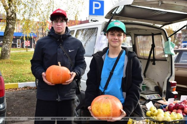 В Кричеве продолжается акция «Добро старшим»